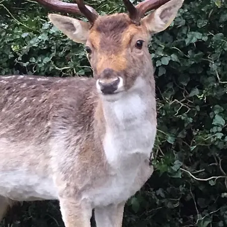 Studio@25 Apartment *