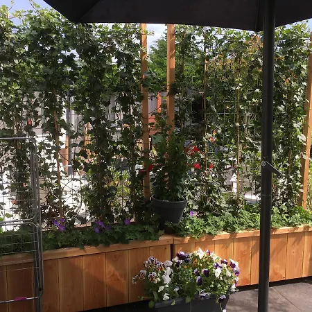 Appartement Studio@25