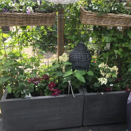 Apartment Studio@25 Zandvoort